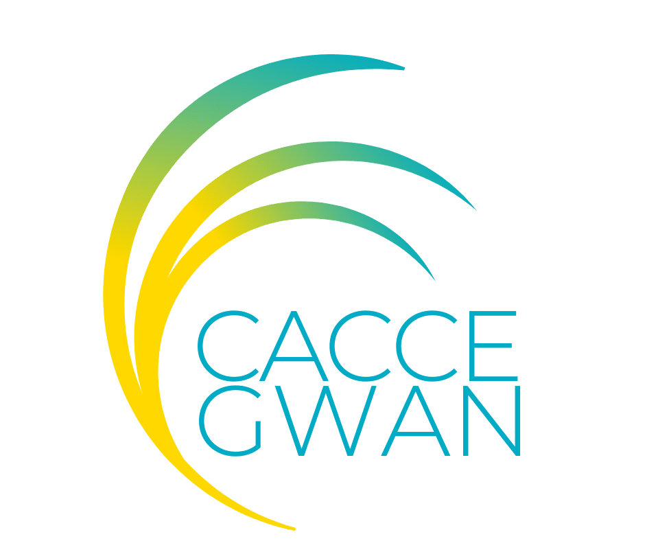 Your Future Success with CACCE-GWAN